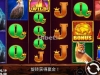 王者野牛的是亏损到没有啊